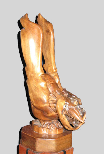 A Bird Thou Never Wert (front)